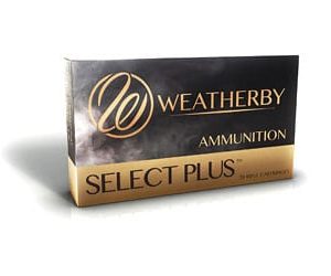 WBY AMMO 300WBY 180GR TSX 20/200